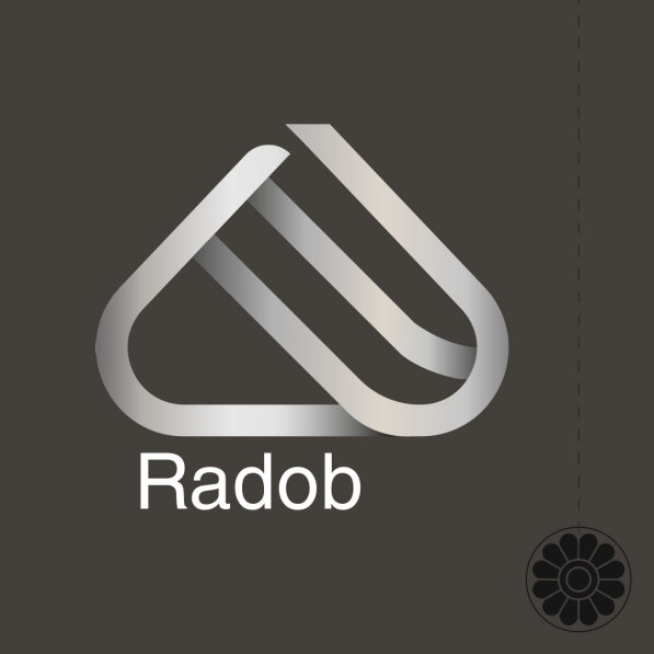 Radob Logo Design | طراحی لوگو رادوب